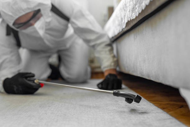 Professional Termite Control technician working in Jonestown, TX