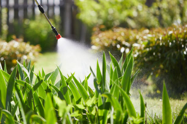 24/7 Emergency Termite Control experts in Jonestown, TX