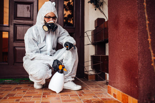 Reliable Termite Control contractor in Jonestown, TX by Nex Pest Control