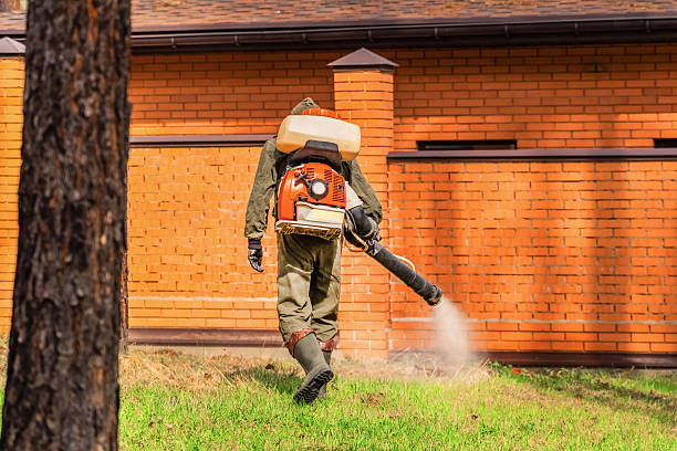 Trusted Rodent Control service in Jonestown, TX - Nex Pest Control